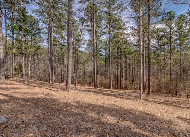 Property at Lot 20 Grays Peak Dr, Salem, SC 29676