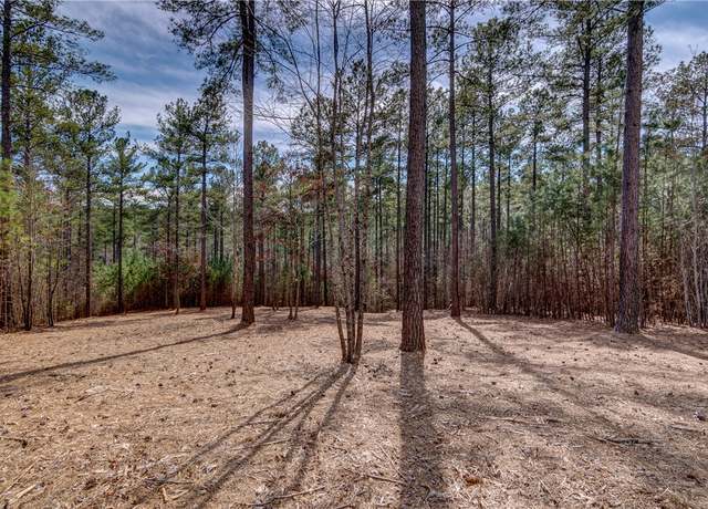 Property at Lot 21 Grays Peak Dr, Salem, SC 29676