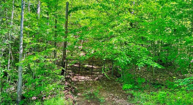 Photo of Tract Q The Bear Blvd, Tamassee, SC 29686
