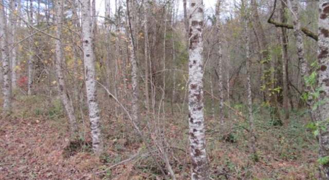 Photo of 00 Geer Hwy, Cleveland, SC 29635