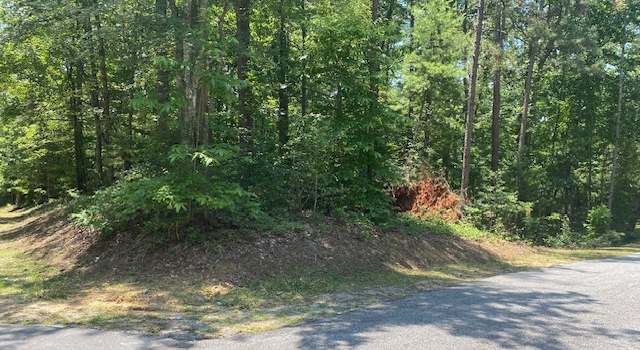 Photo of Lot 36 Turtlehead Dr, Salem, SC 29676