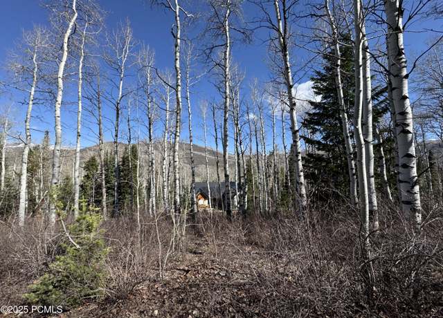 Property at 663 Red Fir Way, Oakley, UT 84055