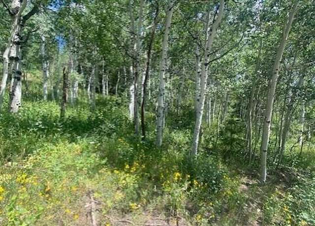 Property at 1968 Elk Road``, Coalville, UT 84017