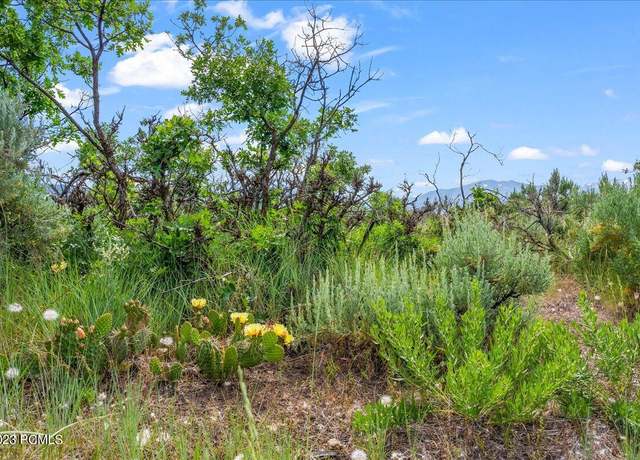 Property at 11 Skyline View Dr, Heber City, UT 84032