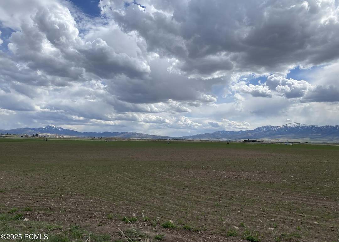 17535 S Old Highway 91