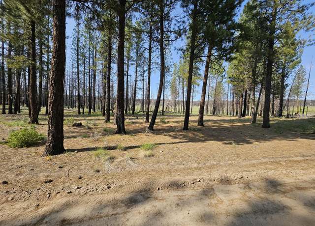 Property at Parazoo Trl Lot 2 Block 8, Bly, OR 97622