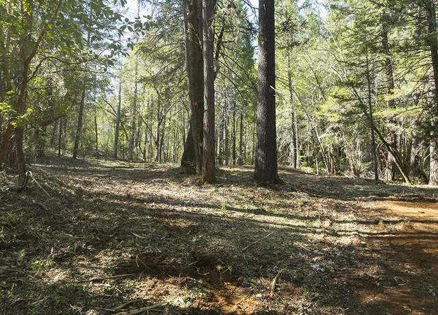 Property at 12060 Redwood Hwy, Wilderville, OR 97543