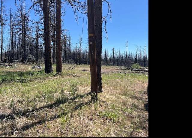 Property at Zebu Lane Block 103 Lot 2 Ln #2, Bonanza, OR 97623