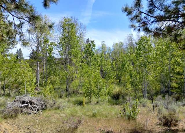 Property at 7800 Forest View Dr, Chiloquin, OR 97624