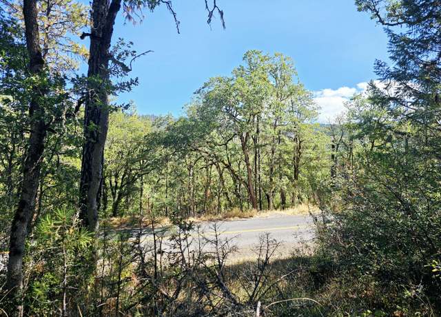 Property at 6531 Crowfoot Rd, Trail, OR 97541
