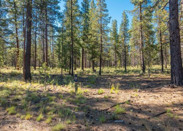 Property at 56225 Mirror Rock Loop, Bend, OR 97707