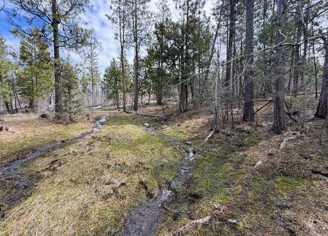 Property at 0 Yellowjacket Springs Rd, Beatty, OR 97621