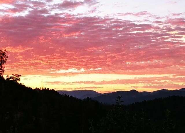 Property at 300 Shanks Creek Rd, Wolf Creek, OR 97497