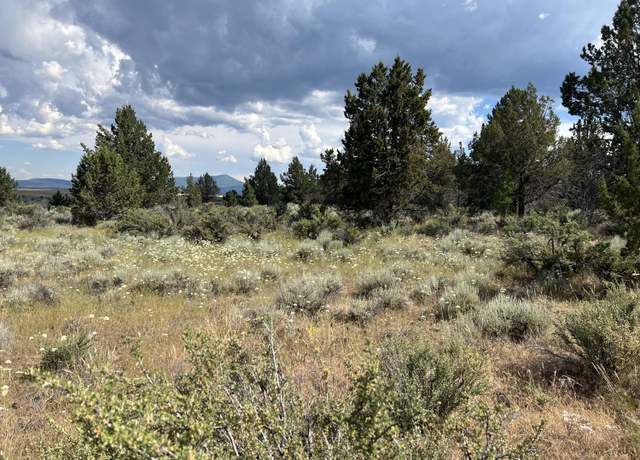 Property at Tableland #700, Sprague River, OR 97639
