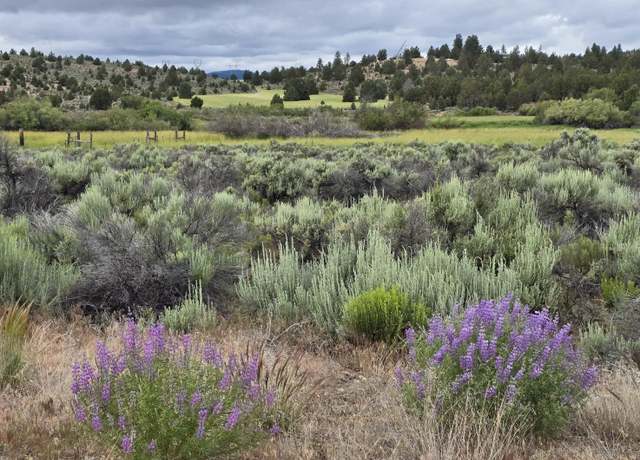 Property at River Bank Dr, Beatty, OR 97621