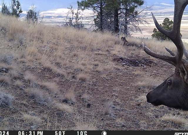 Property at FS Road 613, John Day, OR 97845