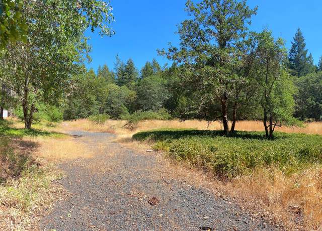 Property at 101 Mcmullen Creek Rd, Selma, OR 97538