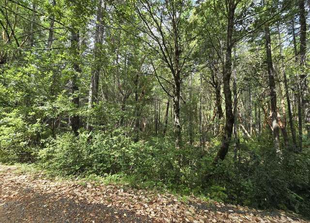 Property at TL:  124 Thompson Creek Rd, Selma, OR 97538