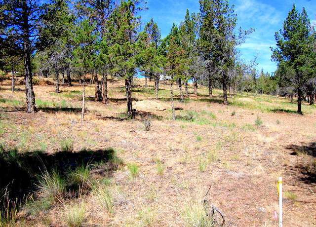 Property at NE TL 700 Irvine Ave, Prineville, OR 97754