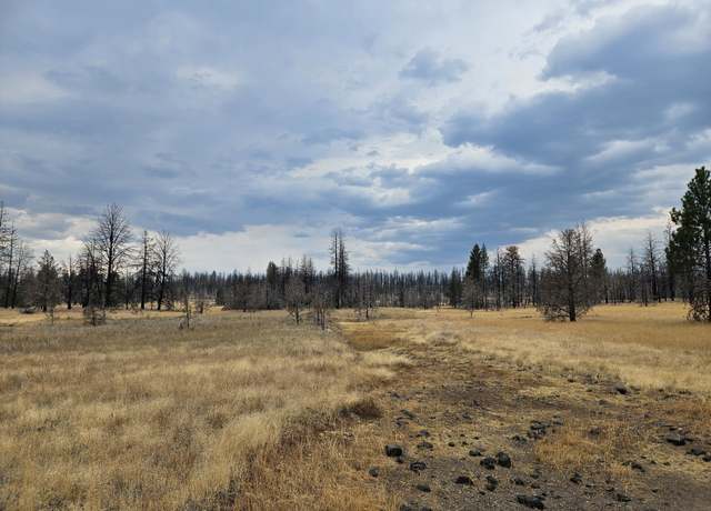 Property at Parazoo Trl Lot 15, Bly, OR 97622