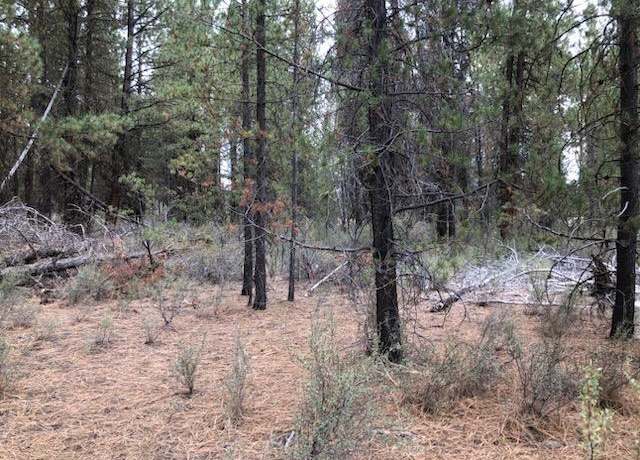 Property at Whitehorse Way #209152, Chiloquin, OR 97624