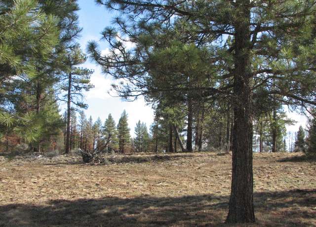 Property at 9 Canadian Honker Ln, Sprague River, OR 97639