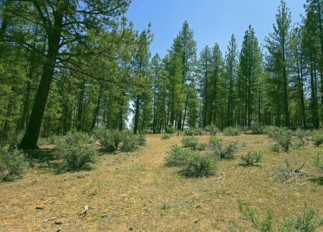 Property at 20 Elde St, Chiloquin, OR 97624