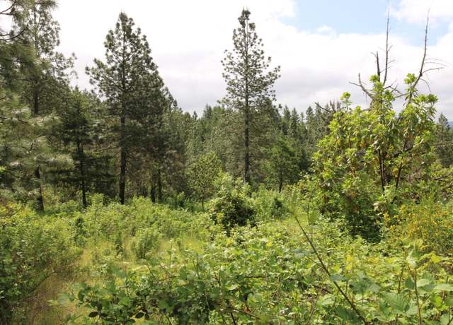 Property at Cow Creek Rd #100, Riddle, OR 97469
