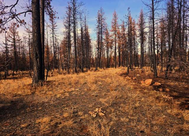 Property at 4 Zebra Ln #4, Bonanza, OR 97623