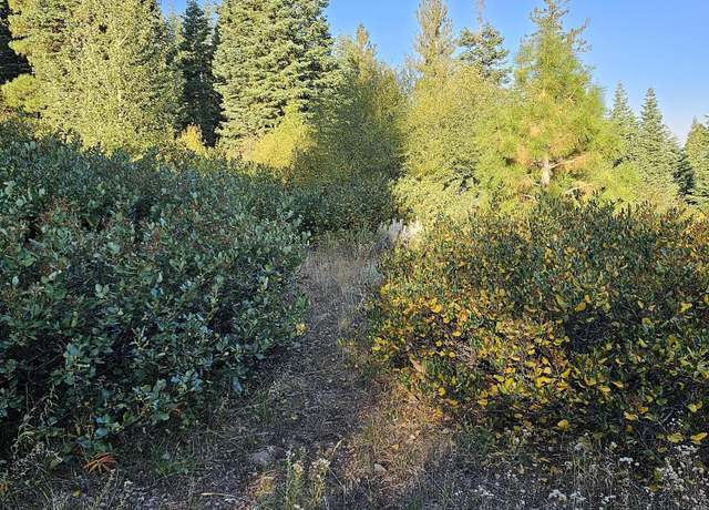 Property at 0 Undertimined, Lakeview, OR 97630