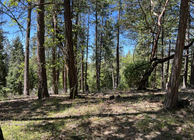 Property at TL348 Flounce Rock Rd, Prospect, OR 97536