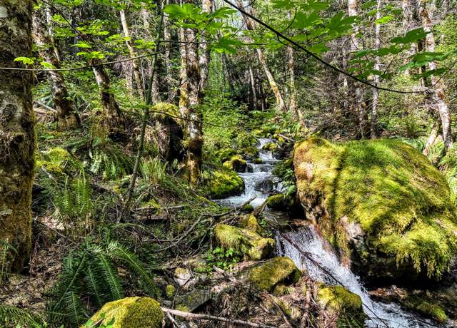 Property at 39061101 Bear Wallow Rd, Cave Junction, OR 97523