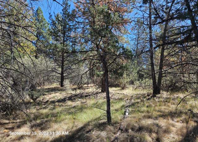Property at 0 Jaguar Ln #29, Bonanza, OR 97623