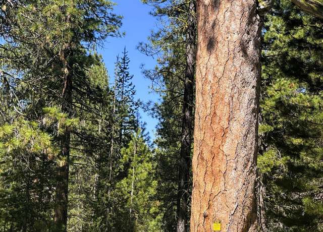 Property at Hwy 62, Fort Klamath, OR 97626