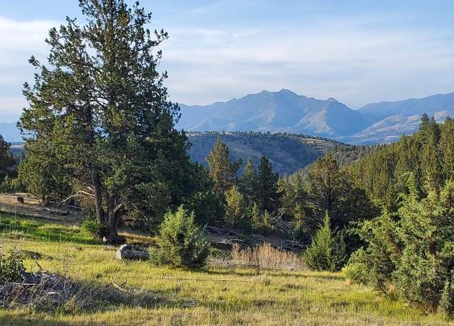 Property at Wiley Creek Road Rd #2406, Dayville, OR 97825