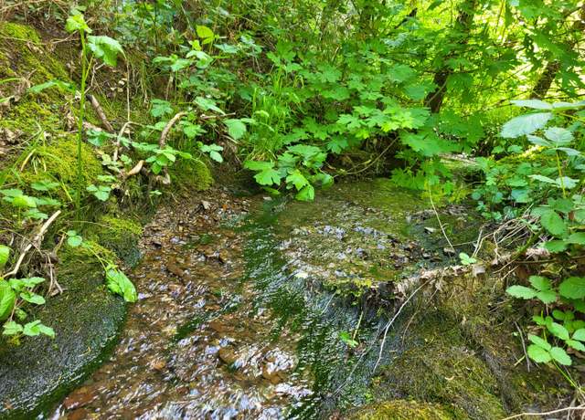 Property at 555 Three Mill Rd, Selma, OR 97538