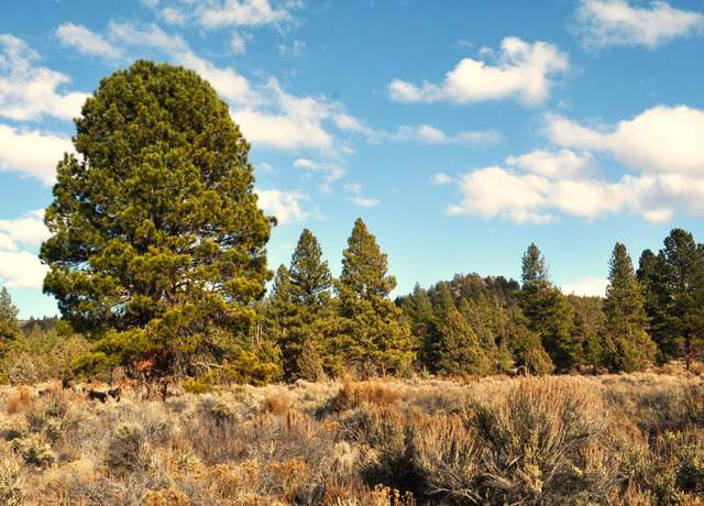 Property at 20 Acres Off of Tableland, Sprague River, OR 97639