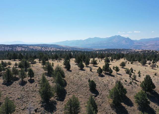 Property at TL 2400 Wiley Creek Rd, Mount Vernon, OR 97865