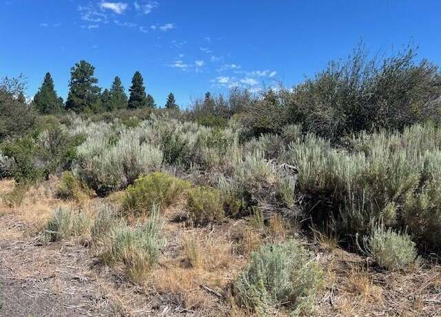 Property at Wrightwood Lot 17, Chiloquin, OR 97624