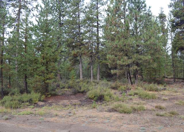 Property at Hwy 97, Gilchrist, OR 97737