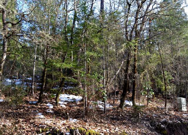 Property at 0 Ferry Rd Unit TL 104, Grants Pass, OR 97526
