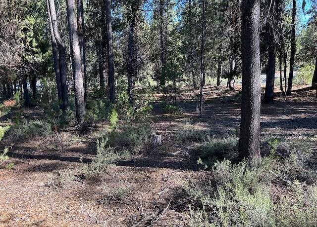 Property at 2 Pine Creek Loop, Crescent Lake, OR 97733