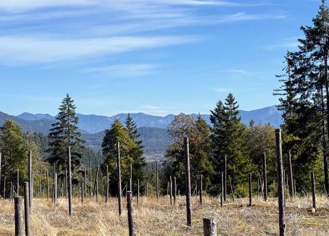 Property at Cedar Flat Rd, Cave Junction, OR 97523