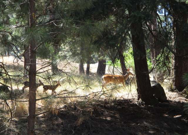 Property at 930 Wild Plum Dr, Klamath Falls, OR 97601