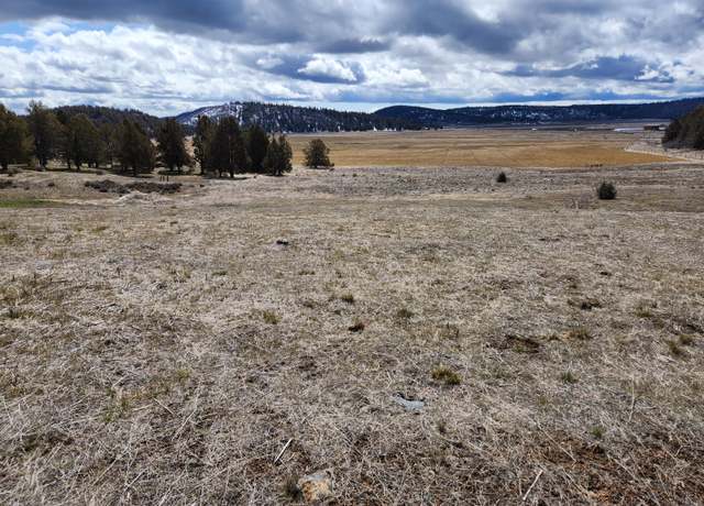 Property at Lot 1134 Murrelet Rd, Klamath Falls, OR 97603