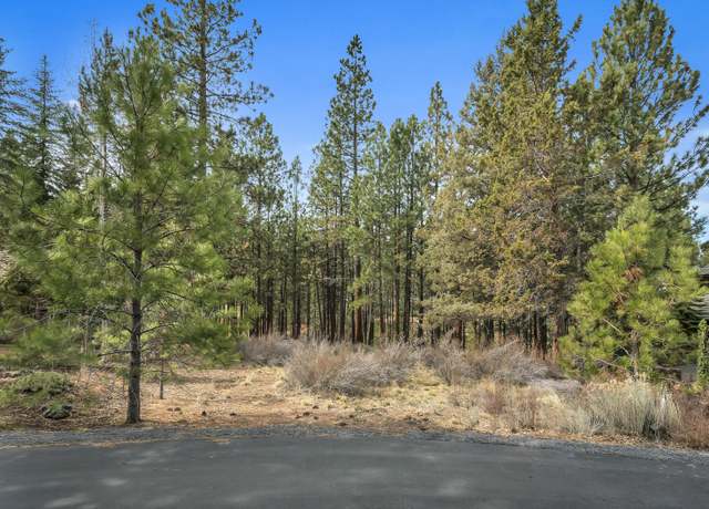 Property at 19374 Rim Lake Ct, Bend, OR 97702