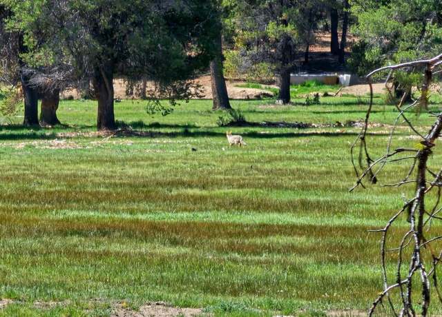 Property at Williamson River Rd Rd #206226, Chiloquin, OR 97624