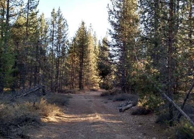 Property at 4800 Bear Flat Rd (nf86), Chemult, OR 97731
