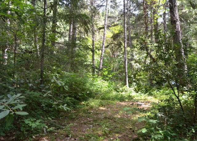 Property at 4657 Lower Grave Creek Rd, Wolf Creek, OR 97497