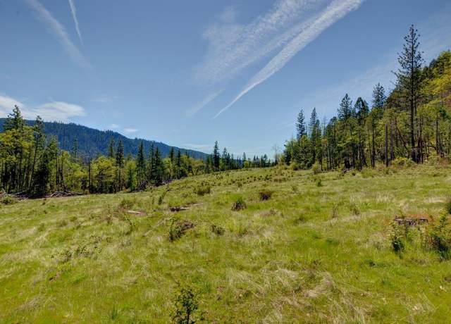 Property at 40999 Highway 62, Prospect, OR 97536